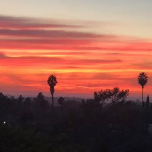 Meet your Posher, Terry